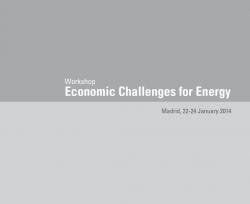 Workshop: 2014 Economic Challenges for Energy, Madrid