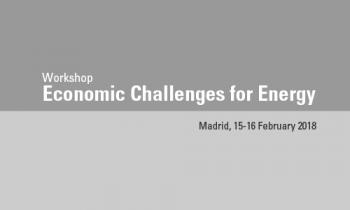 Octavo Workshop Anual de Economics for Energy